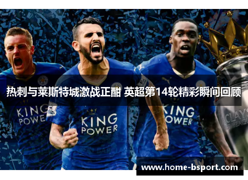 热刺与莱斯特城激战正酣 英超第14轮精彩瞬间回顾