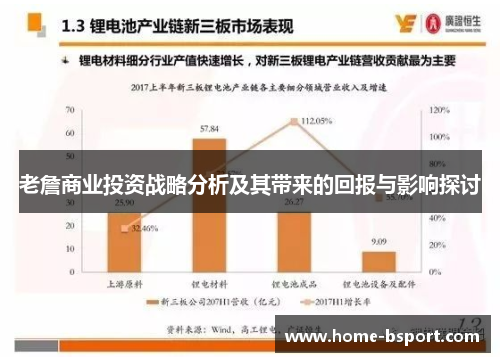 老詹商业投资战略分析及其带来的回报与影响探讨